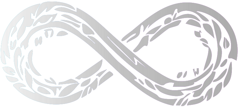 The Infinity Group Logo